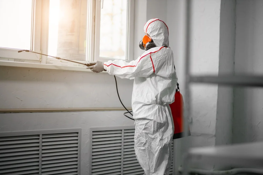 Professional mold remediation services in Rahway, NJ